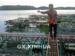 橫縣水產(chǎn)養(yǎng)殖業(yè)蓬勃發(fā)展，畜牧漁業(yè)飼料行業(yè)迎來新機遇