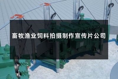 賦能現(xiàn)代畜牧漁業(yè) 專業(yè)飼料拍攝與宣傳片制作公司的重要性